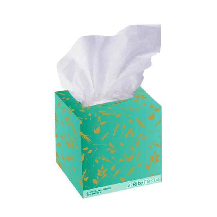 Standard White 2-Ply Facial Tissue Cube