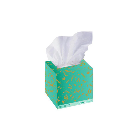 Standard White 2-Ply Facial Tissue Cube